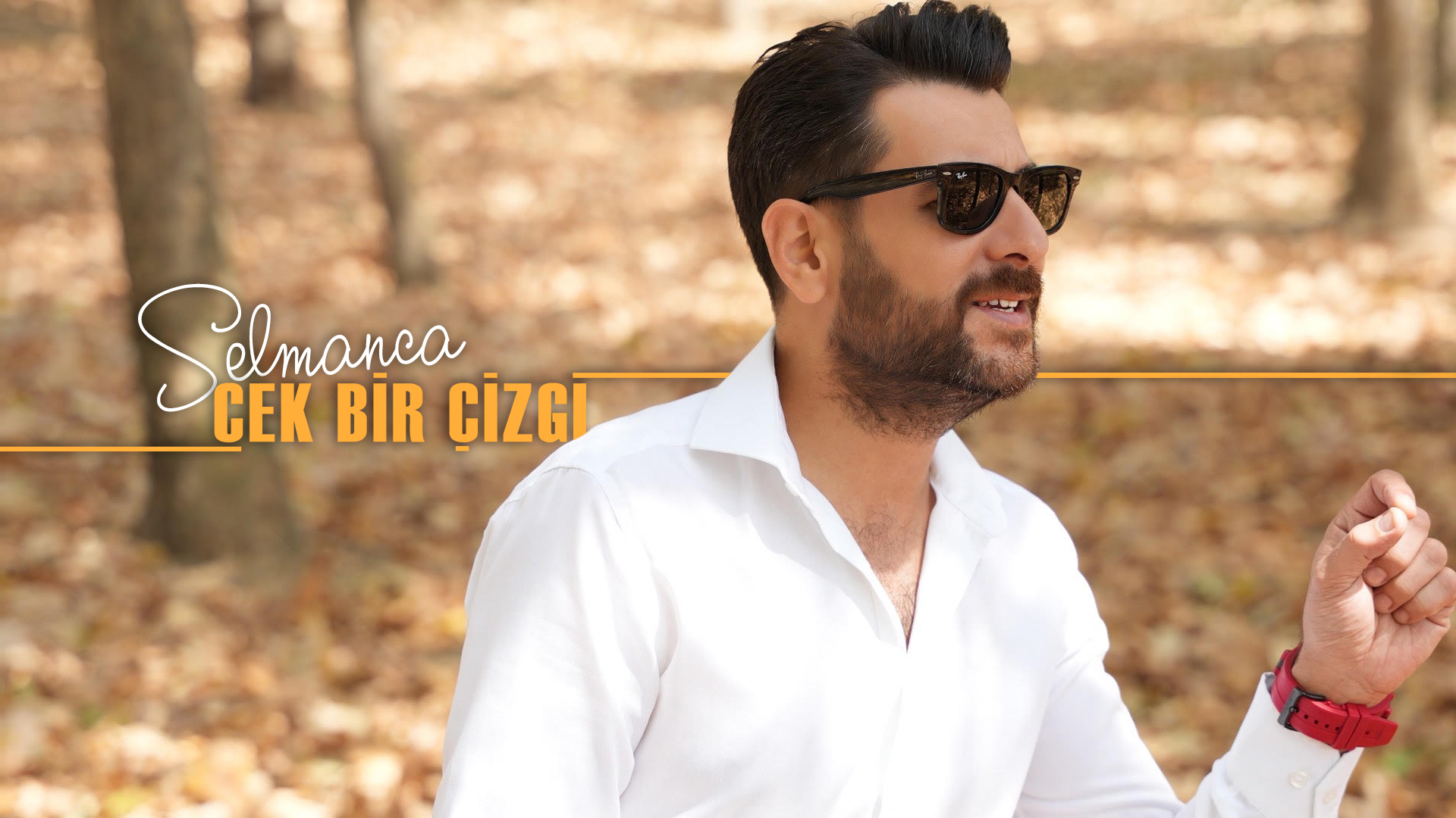 Selmanca - Çek Bir Çizgi Albüm Kapağı